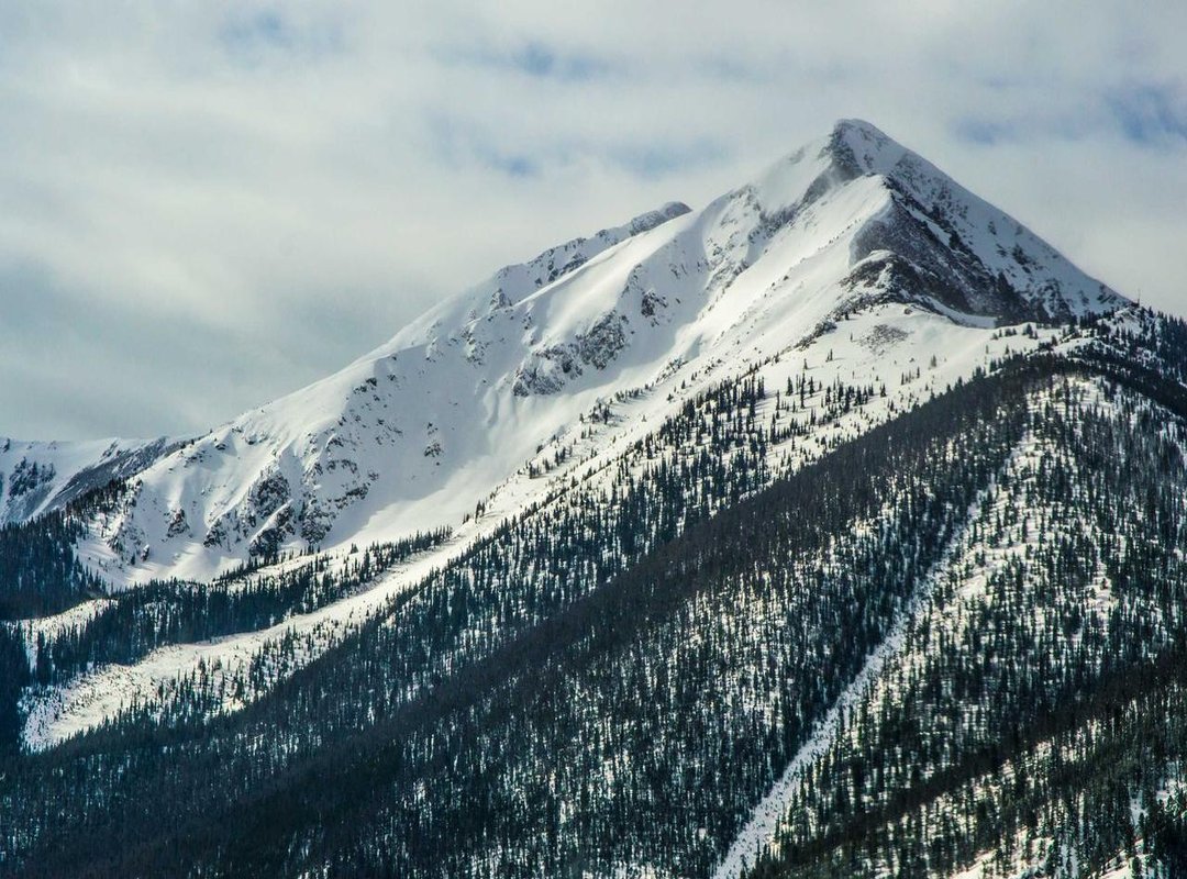 How Aportbet Stacks Up: Top 3 Alternatives Compared