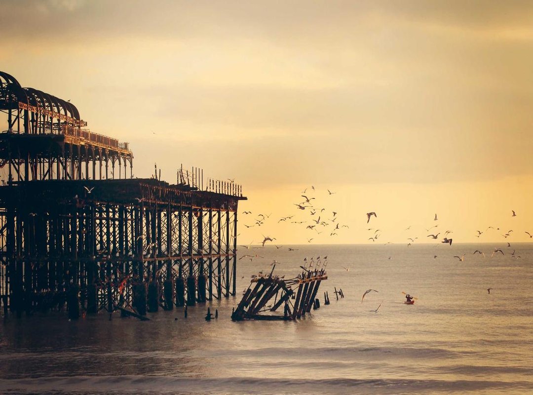 A Partnership in Life and Sport: Their Connection Explained