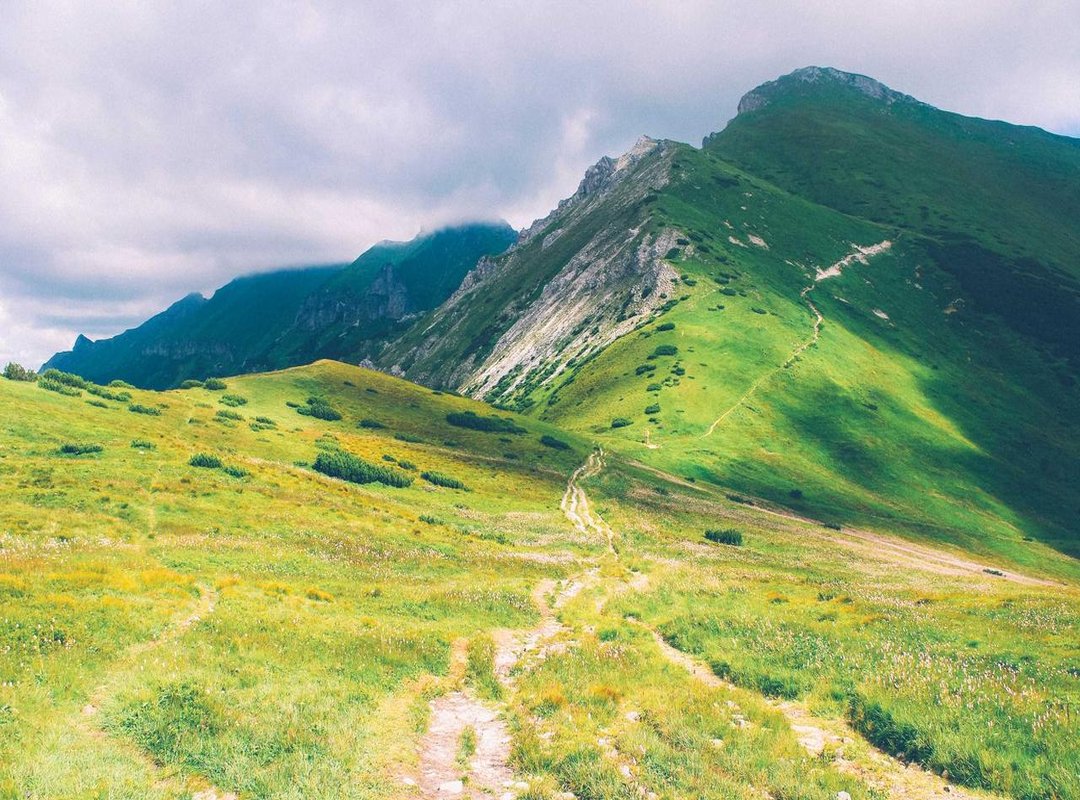 Effortless Color Matching: The '3-Color Rule'