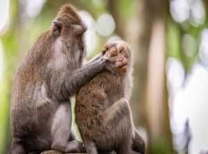handling aggressive behavior