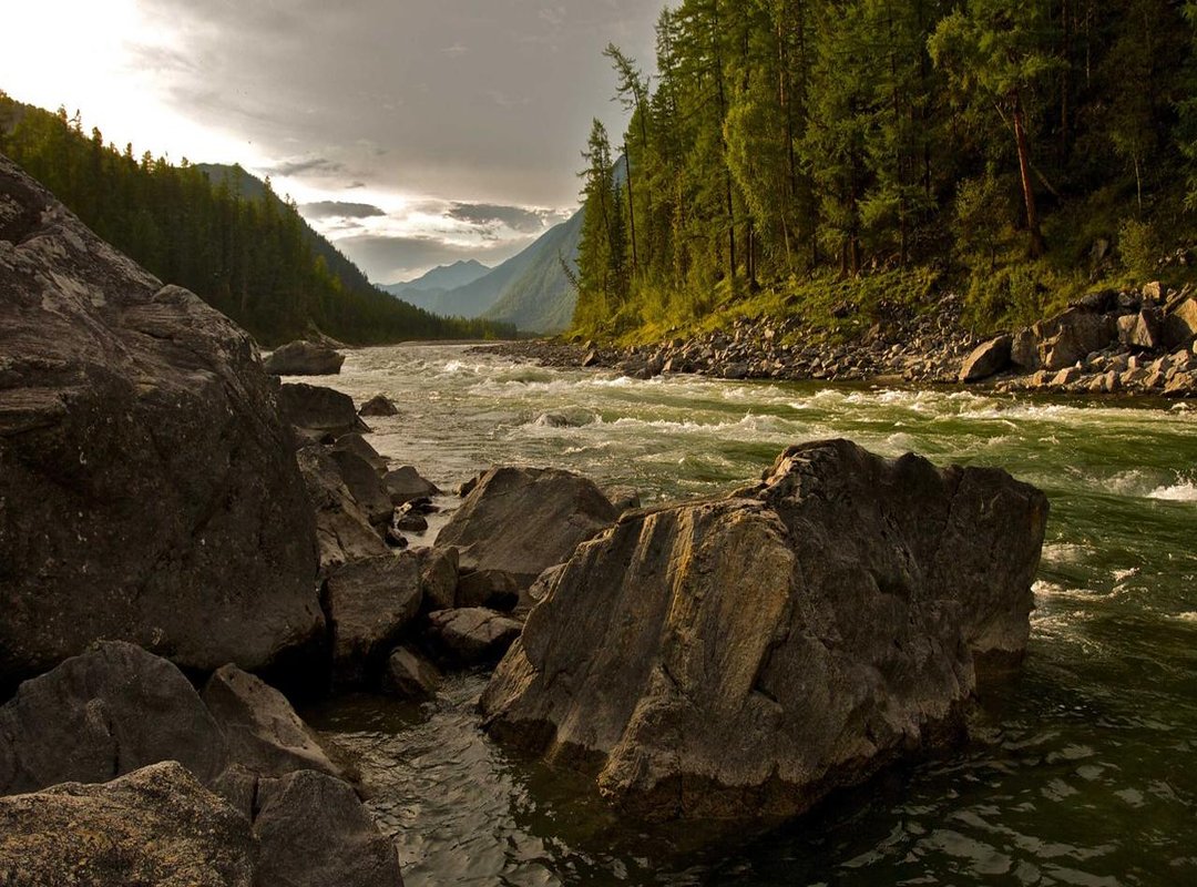 From Victim to Vigilante: The Rise of Mysterion