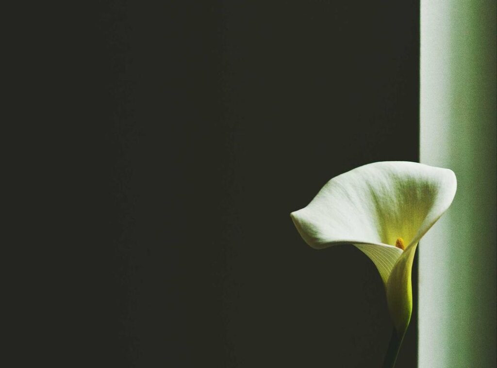 kenny:vzhme39qudc= south park