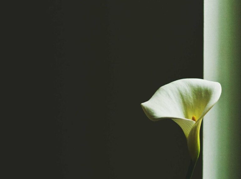 kenny:vzhme39qudc= south park