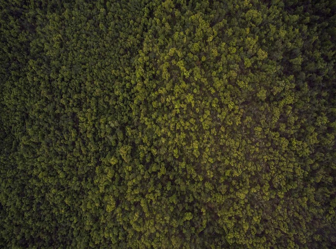 The Meaning Behind the Groove: What the Vocals Represent