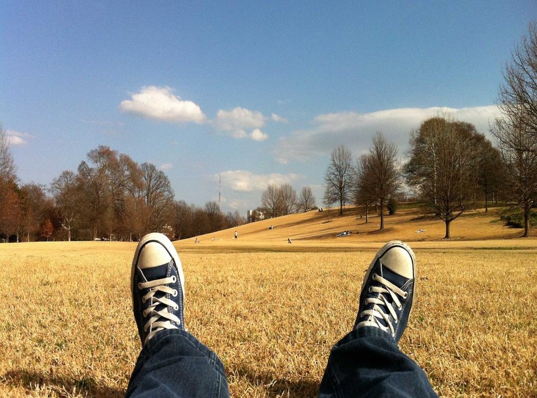 What to Look For: Key Considerations