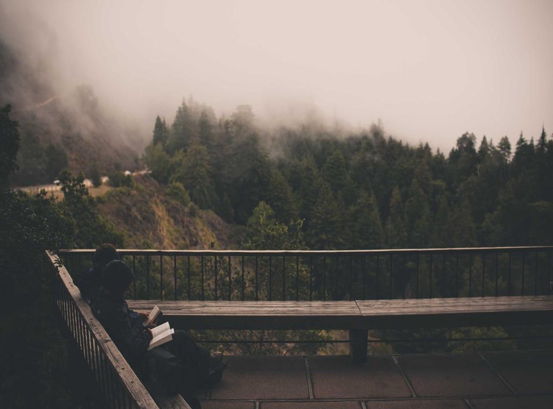 How It Compares: Tamil Yogi Bike vs. The Competition